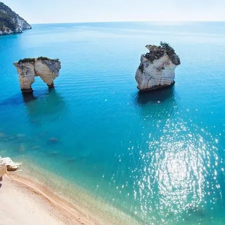 Vakantiehuis Downtown San Lorenzo *