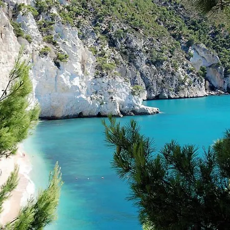 Downtown San Lorenzo