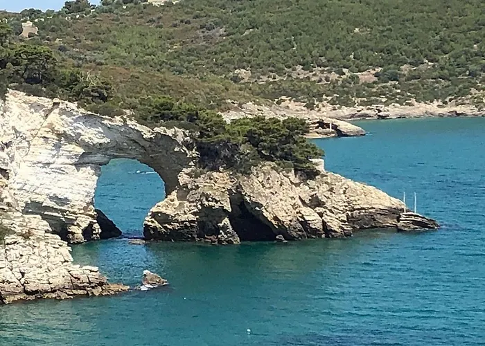 Downtown San Lorenzo Дом отдыха